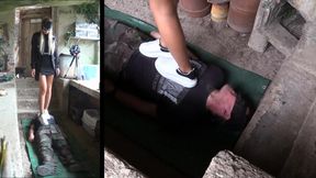 Greenhouse trampling for the second time by Alice (two views)