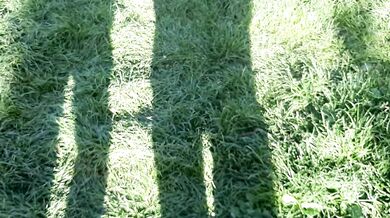 I gave my neighbor a bouquet of flowers, and for the first time she thanked me with cunnilingus