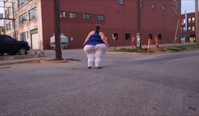 extremely fat elephant butt walking in the street