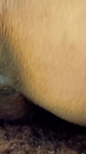 Captivating moment from &quot;Desi Indian Girlfriend new boyfriend Frist time pussy cowgirl style sex big dick&quot;