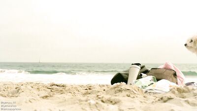 Asian boy Tyler Wu fucked bareback by Dakota Payne at Venice beach