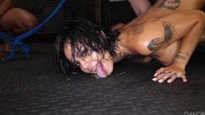 Wow that's TASTY slurping cum from the floor (Chris Cock&#x1F32D; &mdash;  Randy Denmark &mdash;  Eddie Jaye &mdash;  Scotty P &mdash;  Genevieve Sinn &mdash;  Kinsley Anne)