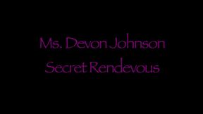 The Secret Rendezvous