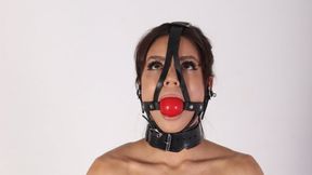 River in the box tie restraint