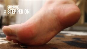 SHRUNK AND STEPPED ON