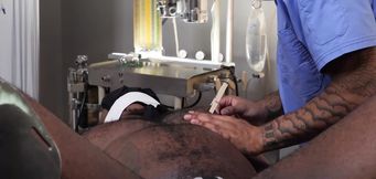 Injured black stud is getting examined by the doctor