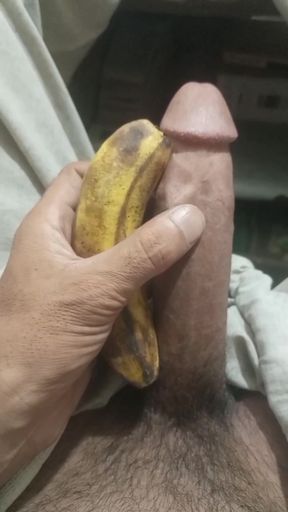 My cock is very horny and I am looking for partners for my horny cock.