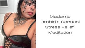 Madame Orchid’s Sensual Stress Relief Meditation 🧘🏽🧘🏽‍♂️