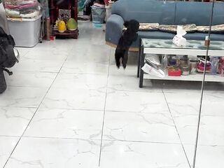 This security guard execrates me