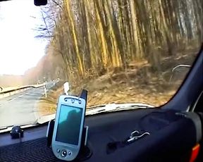 An amazing German blonde sucking a hard cock in the car