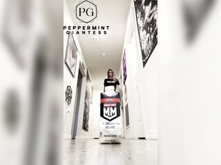 6'7" / 200 cm Tall Amazon Giantess Dominatrix Crushes her Protein Swallow with her Size 16 Biggest Feet in 8 inch Heels