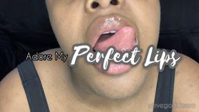 Adore My Perfect Lips - Royal Ro lip gloss worship