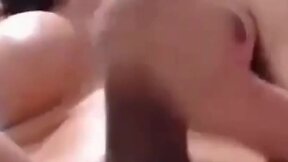 What is the name of the second trans?