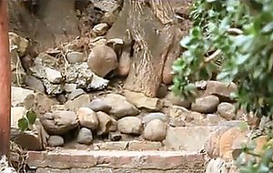 Hammer construction