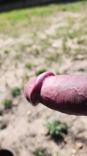 Hot hard thick ringed clamped mushroom tipped cock throbbing outdoor pissing
