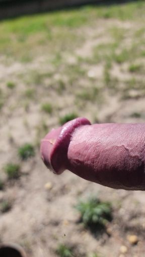 Hot hard thick ringed clamped mushroom tipped cock throbbing outdoor pissing