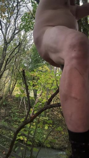 Anal Fun with Branch of Tree in the Forest