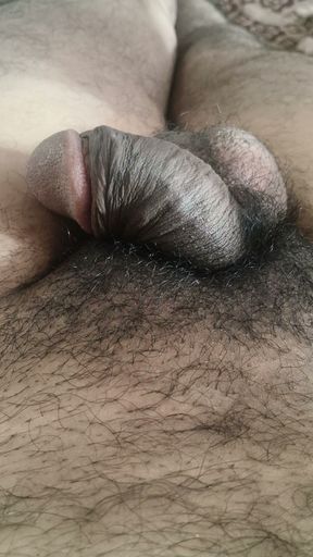 Good boy enjoying