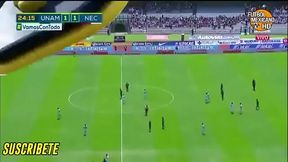 Gatito v. a Rayo