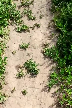 Outdoor gay, hot sex, big cock vs femboy sissy! Cum outdoor hot twink!