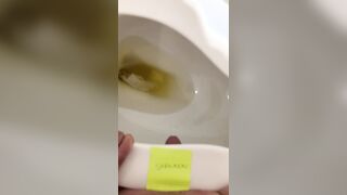 Restroom Seat Pummel and Destroyed Orgams