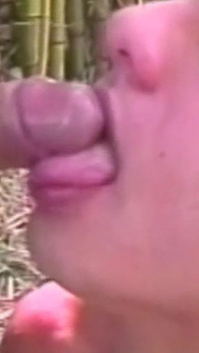Latin Cocks Scene-4_latino Gays Like to Fuck in the Countryside Until They Cum Inside