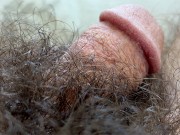 For the hairy fans - close up views of my tiny dick in a forest of fur plus j/o and fleshlight hump