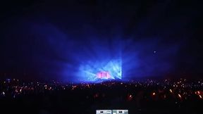 Perra loca gritando enjaulada