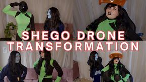 Shego Drone Transformation