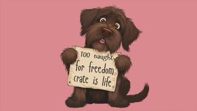 Too naughty for freedom, crate id life, caged for disobedience