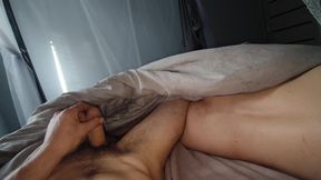 Morning Swift
