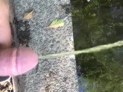 Peeing off a public bridge