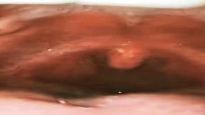 Macro Journey: Nicoletta’s Deep Throat Exploration with Colorful Candies 4K