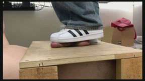 ADIDAS superstar crush cock & shobjob(cum)