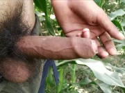 Hairy gay porn videos handjob and cumshot on plants