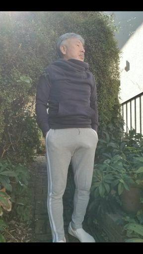 Bulge