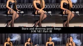 Burn and destroy your lungs FOR ME! Part III