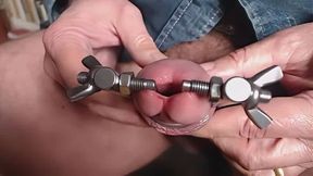 My Penis' Huge, Stretched Peehole