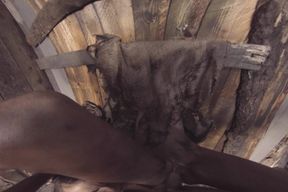 X Virtual 19 the Monster From the Woods 180°