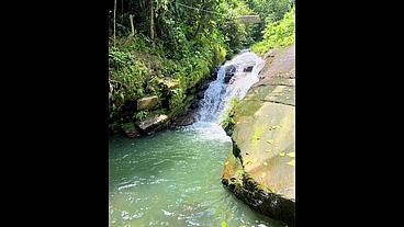TS Angelique Monroe - A horny morning in the rainforest.
