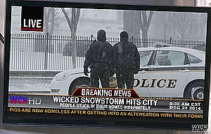 Stormy Daniels taking over a cock