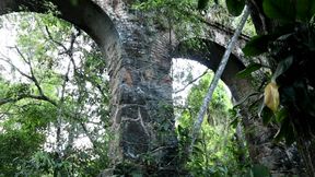 Hiding From People to Have Sex