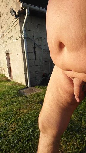In the garden