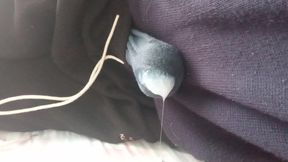 Strong Moans of Orgasm