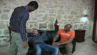 Urși gay futuți în cur, BBC