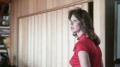 Vintage American porn movie from the 70s "Pet of the Month"