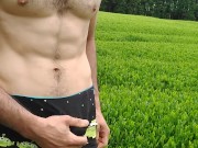 ASIAN SOLO IN THE TEA PLANTATION