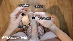 Educational Penis Head Polishing Massage Male POV