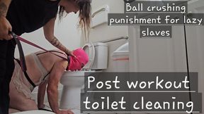 Maid training; Teaching idiots how to clean 101