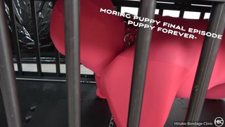 Moring puppy final episode－Puppy forever ヒトイヌfinal－永遠の仔犬